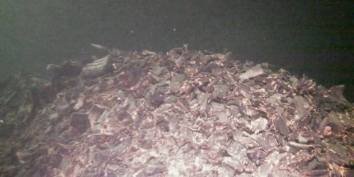 TILSYN: Med undervannsdrone avslørte Statsforvalteren dekkforurensningen på fjordbunnen. Foto Statsforvalteren i Vestfold og Telemark